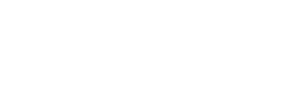 KOLDLINER — cold logistics solution